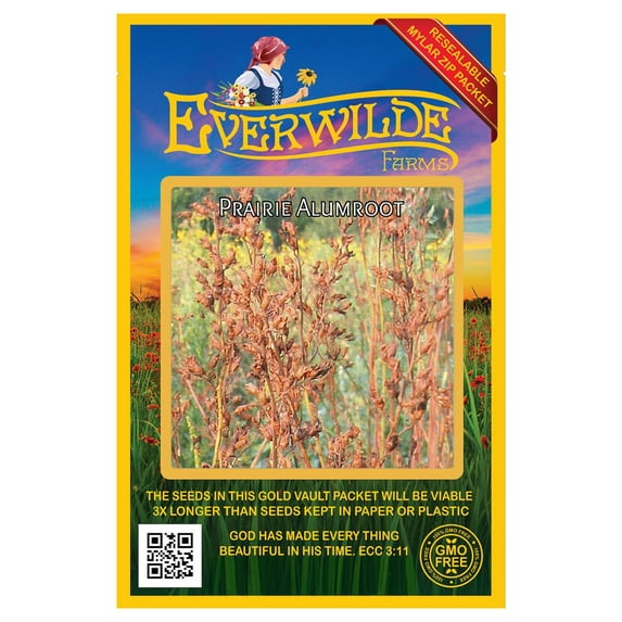 Everwilde Farms - 2000 Prairie Alumroot Native Wildflower Seeds - Gold Vault Seed Packet