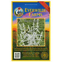 Everwilde Farms 2000 Prairie Sage Flower Seeds