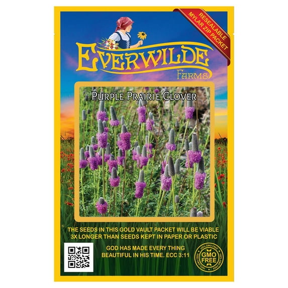 Everwilde Farms - 2000 Purple Prairie Clover Native Wildflower Seeds - Gold Vault Jumbo Bulk Seed Packet