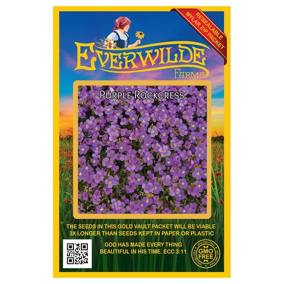 Everwilde Farms 2000 Purple Rockcress Flower Seeds, Hardy Low Growth Plant