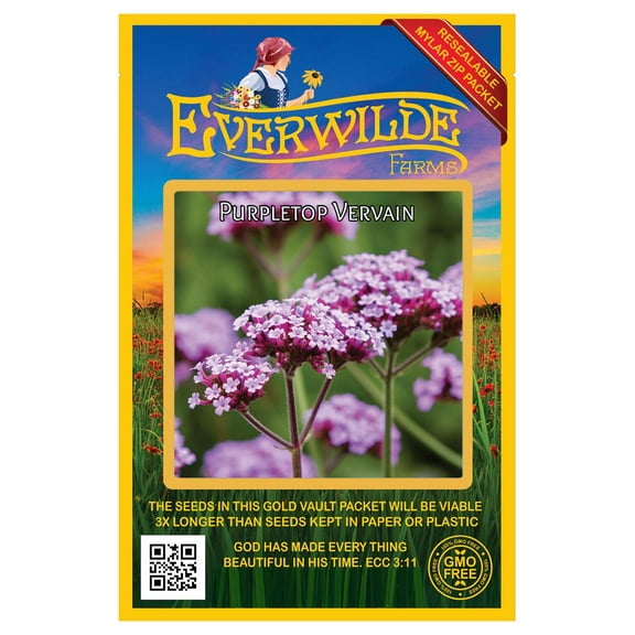 Everwilde Farms - 2000 Purpletop Vervain Wildflower Seeds - Gold Vault Seed Packet