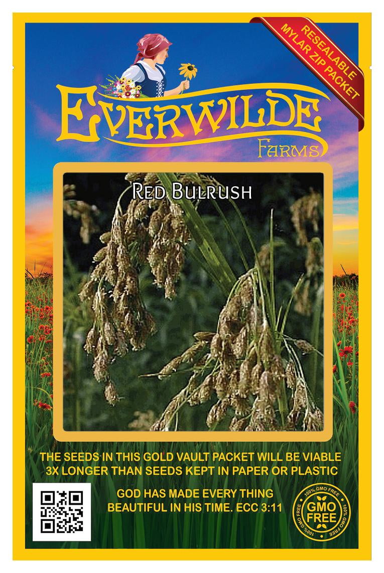Everwilde Farms 2000 Red Bulrush Native Grass Seeds Gold Vault