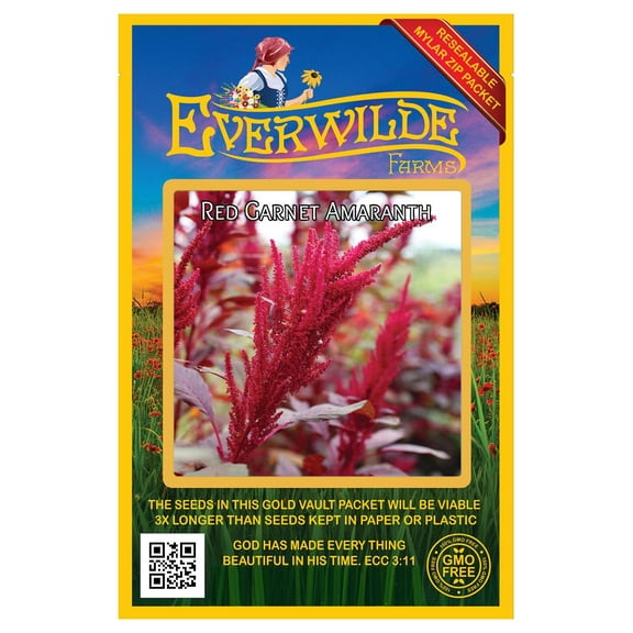 Everwilde Farms - 2000 Red Garnet Amaranth Herb Seeds - Gold Vault Jumbo Bulk Seed Packet