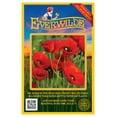 thumbnail image 1 of Everwilde Farms 2000 Red Poppy Flower Seeds, Gold Vault, 1 of 5