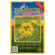 Everwilde Farms - 2000 Riddells Goldenrod Native Wildflower Seeds - Gold Vault Jumbo Bulk Seed Packet