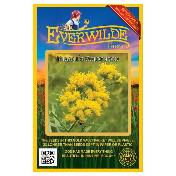 Everwilde Farms - 2000 Riddell's Goldenrod Native Wildflower Seeds - Gold Vault Seed Packet