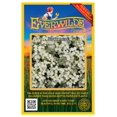 thumbnail image 1 of Everwilde Farms - 2000 Rockcress Native Wildflower Seeds - Gold Vault Seed Packet, 1 of 5