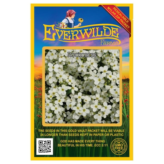 Everwilde Farms - 2000 Rockcress Native Wildflower Seeds - Gold Vault Seed Packet
