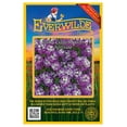 thumbnail image 1 of Everwilde Farms - 2000 Royal Carpet Sweet Alyssum Garden Flower Seeds - Gold Vault Jumbo Bulk Seed Packet, 1 of 5