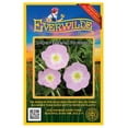 thumbnail image 1 of Everwilde Farms 2000 Showy Evening Primrose Flower Seed, 1 of 5