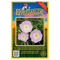 Everwilde Farms 2000 Showy Evening Primrose Flower Seed