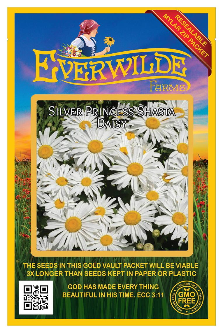 Everwilde Farms 2000 Silver Princess Shasta Daisy Garden Flower Seeds