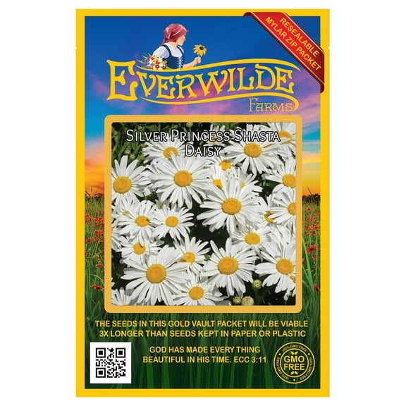 Everwilde Farms - 2000 Silver Princess Shasta Daisy Garden Flower Seeds - Gold Vault Jumbo Bulk Seed Packet