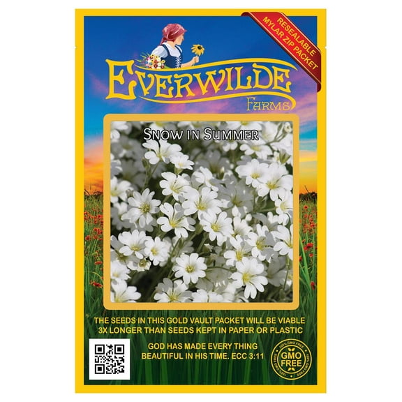 Everwilde Farms - 2000 Snow in Summer Garden Flower Seeds - Gold Vault Jumbo Bulk Seed Packet