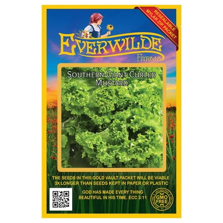 Everwilde Farms - 2000 Southern Giant Curled Mustard Seeds - Gold Vault Jumbo Bulk Seed Packet