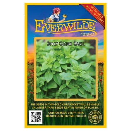 Everwilde Farms - 2000 Spicy Globe Basil Herb Seeds - Gold Vault Jumbo Bulk Seed Packet