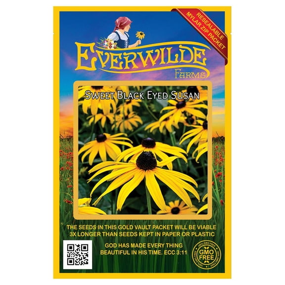 Everwilde Farms - 2000 Sweet Black Eyed Susan Native Wildflower Seeds - Gold Vault Jumbo Bulk Seed Packet
