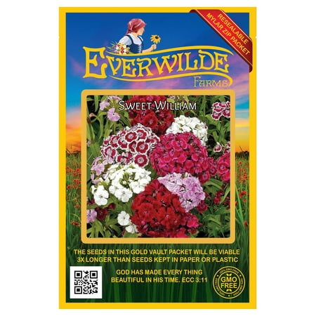 Everwilde Farms - 2000 Sweet William Garden Flower Seeds - Gold Vault Jumbo Bulk Seed Packet
