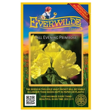 Everwilde Farms - 2000 Tall Evening Primrose Native Wildflower Seeds - Gold Vault Seed Packet