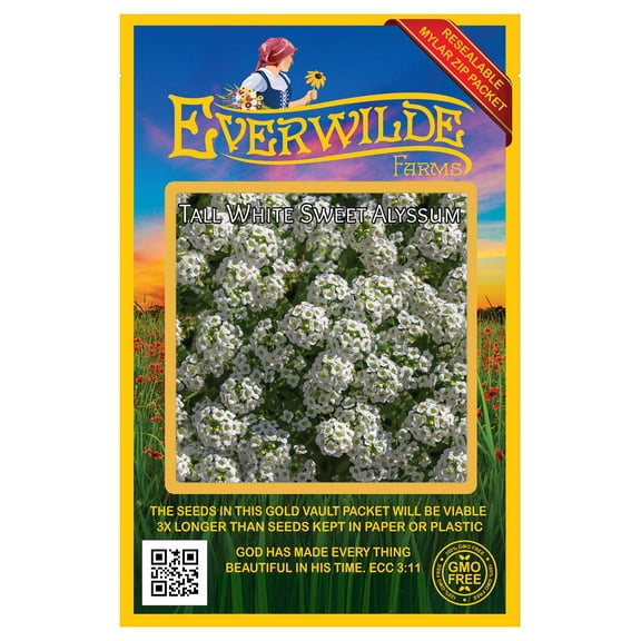 Everwilde Farms - 2000 Tall White Sweet Alyssum Garden Flower Seeds - Gold Vault Jumbo Bulk Seed Packet