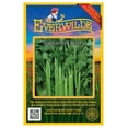 thumbnail image 1 of Everwilde Farms - 2000 Tendercrisp Celery Seeds - Gold Vault Jumbo Bulk Seed Packet, 1 of 5