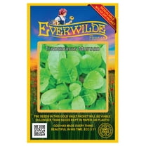 Everwilde Farms - 2000 Tendergreen Mustard Seeds - Gold Vault Jumbo Bulk Seed Packet