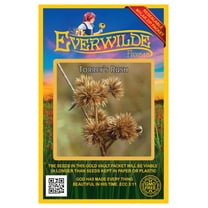 Everwilde Farms - 2000 Torrey's Rush Native Grass Seeds - Gold Vault Seed Packet