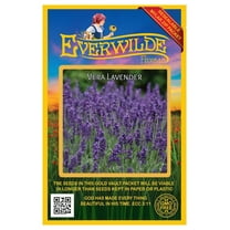Everwilde Farms - 2000 Vera Lavender Herb Seeds - Gold Vault Jumbo Bulk Seed Packet