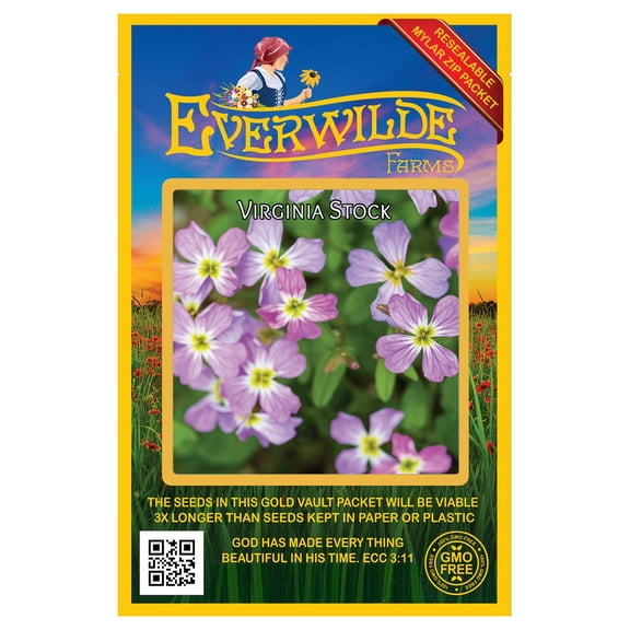 Everwilde Farms - 2000 Virginia Stock Garden Flower Seeds - Gold Vault Jumbo Bulk Seed Packet