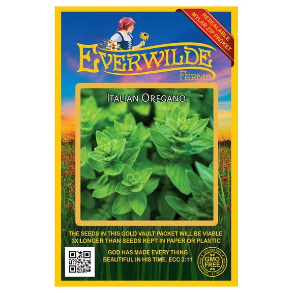 Everwilde Farms - 2000 Vulgare Oregano Herb Seeds - Gold Vault Seed Packet