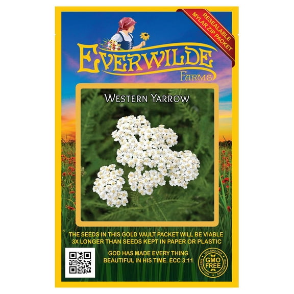 Everwilde Farms - 2000 Western Yarrow Native Wildflower Seeds - Gold Vault Seed Packet
