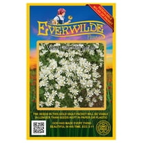Everwilde Farms - 2000 White Upland Aster Native Wildflower Seeds - Gold Vault Jumbo Bulk Seed Packet