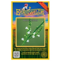Everwilde Farms - 2000 White Vervain Native Wildflower Seeds - Gold Vault Seed Packet