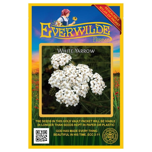Everwilde Farms 2000 White Yarrow Flower Seed
