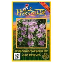 Everwilde Farms 2000 Wild Bergamot Flower Seeds, Native Wildflower