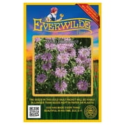 Everwilde Farms 2000 Wild Bergamot Flower Seeds, Native Wildflower
