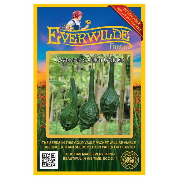 Everwilde Farms - 25 Caveman's Gourd Gourd Seeds - Gold Vault Seed Packet