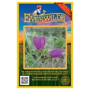 Everwilde Farms - 25 Clustered Poppy Mallow Native Wildflower Seeds - Gold Vault Jumbo Bulk Seed Packet