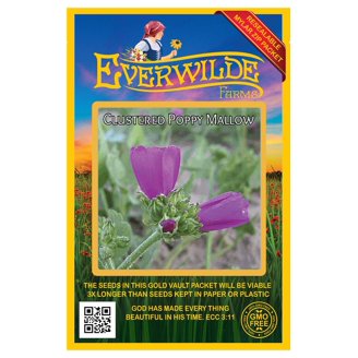 Pa Native Wildflower Seeds