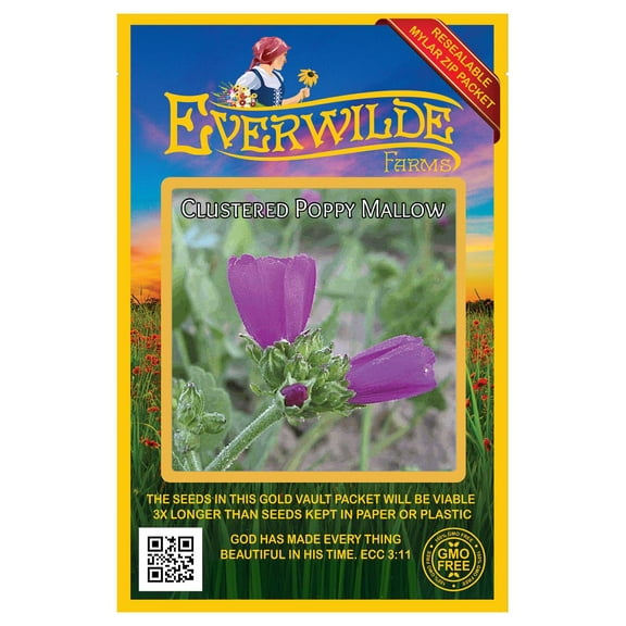Everwilde Farms - 25 Clustered Poppy Mallow Native Wildflower Seeds - Gold Vault Seed Packet
