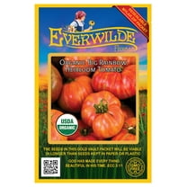 Everwilde Farms - 25 Organic Big Rainbow Heirloom Tomato Seeds - Gold Vault Jumbo Bulk Seed Packet