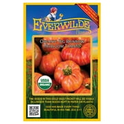 Everwilde Farms - 25 Organic Big Rainbow Heirloom Tomato Seeds - Gold Vault Jumbo Bulk Seed Packet