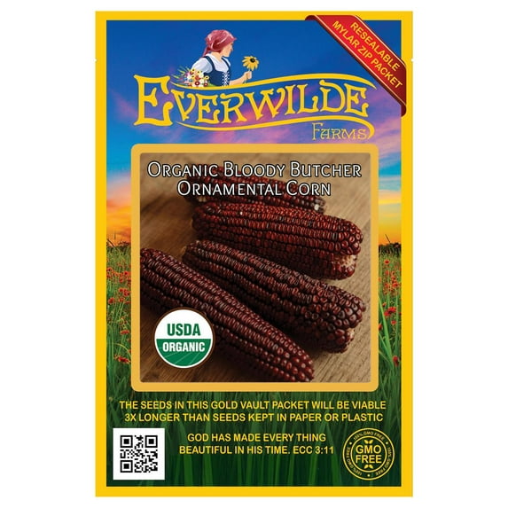 Everwilde Farms - 25 Organic Bloody Butcher Ornamental Corn Seeds - Gold Vault Jumbo Bulk Seed Packet