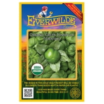 Everwilde Farms - 25 Organic Green Tomatillo Tomatillo Seeds - Gold Vault Jumbo Bulk Seed Packet
