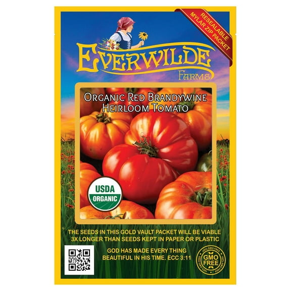 Everwilde Farms - 25 Organic Red Brandywine Heirloom Tomato Seeds - Gold Vault Jumbo Bulk Seed Packet
