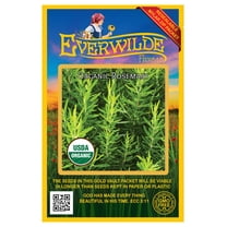 Everwilde Farms - 25 Organic Rosemary Herb Seeds - Gold Vault Jumbo Bulk Seed Packet