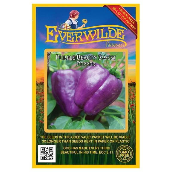 Everwilde Farms - 25 Purple Beauty Sweet Pepper Seeds - Gold Vault Seed Packet