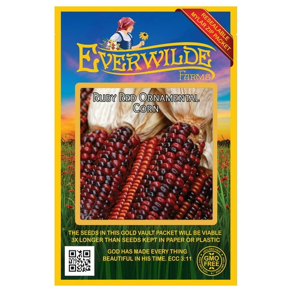 Everwilde Farms - 50 Ruby Red Ornamental Corn Seeds (Treated) - Gold Vault Seed Packet