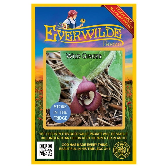 Everwilde Farms - 25 Wild Ginger Native Wildflower Seeds - Gold Vault Seed Packet