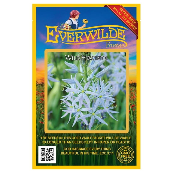 Everwilde Farms - 25 Wild Hyacinth Native Wildflower Seeds - Gold Vault Seed Packet